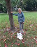 Profilbild Anneliese Rothmann